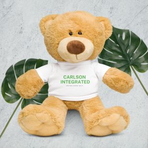 Teddy bear with a t-shirt